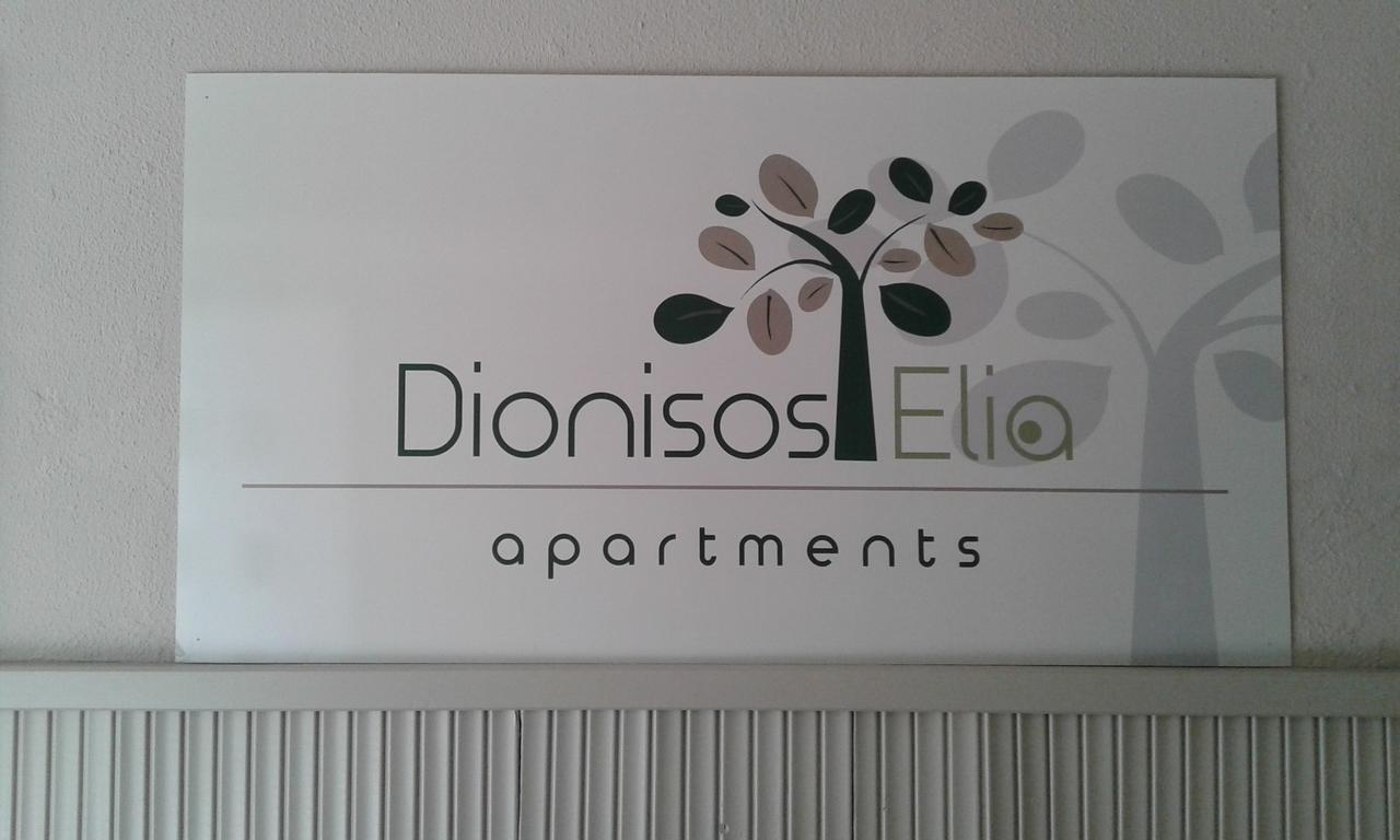 帕拉利亚狄奥尼索Dionisos Elia公寓式酒店 外观 照片