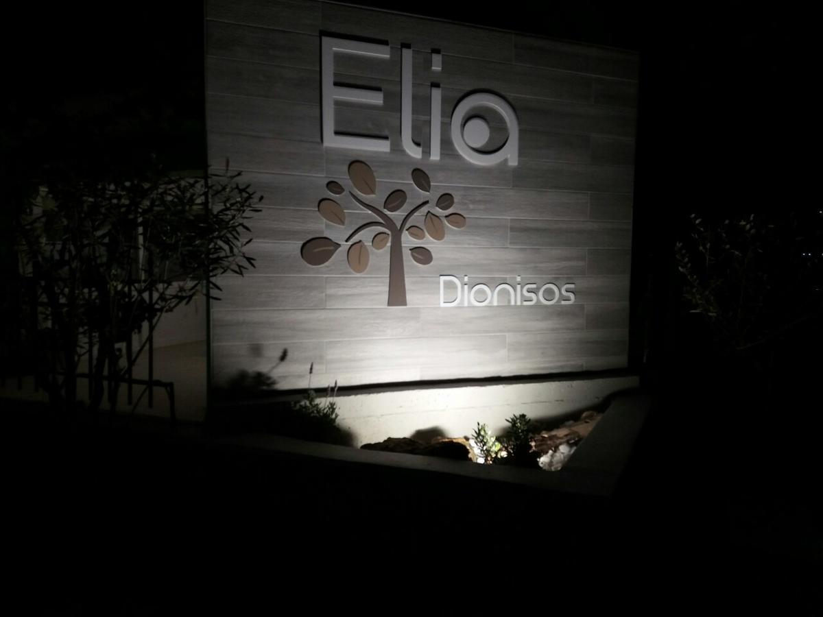 帕拉利亚狄奥尼索Dionisos Elia公寓式酒店 外观 照片